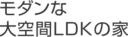 モダンな大空間LDKの家
